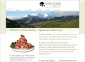 website design for davaar country